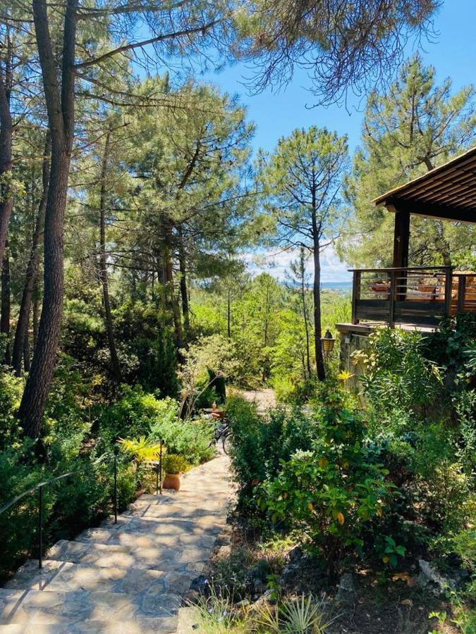 Lou Paradou Lodge Grillon Exterior foto